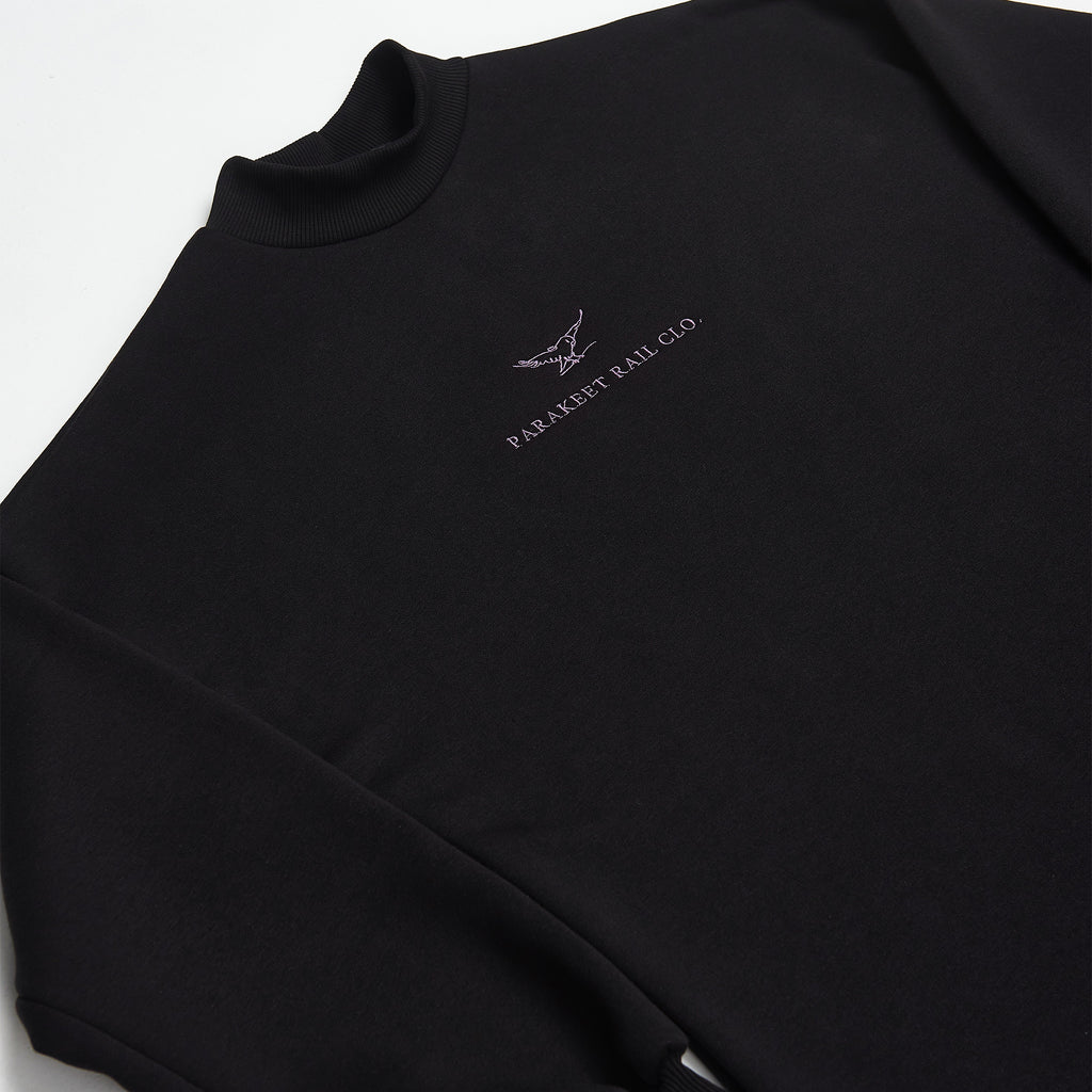 Parakeet Rail Tag Dress Hoodie in Black